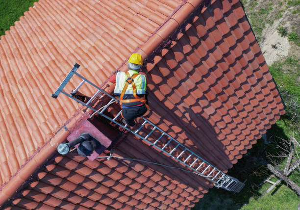 Best Roof Insulation Installation  in Alpharetta, GA